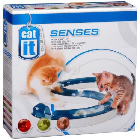 catit design senses spielzeug für katzen, play circuit mit ball für 9,69