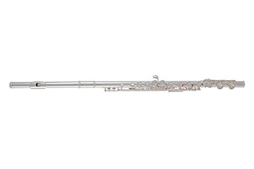 Roy Benson FL-602E Querflöte mit Holzetui und Tasche