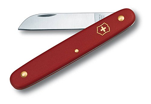 Victorinox Blumenmesser für Amazon Prime Lieferung