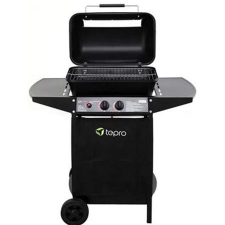 tepro gasgrill 508C irvine mit lavasteinen und 2 brennern, 84,99