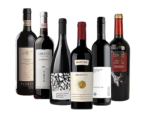 rotweinpaket italien von the wine guys, 6 flaschen für 4,80 euro