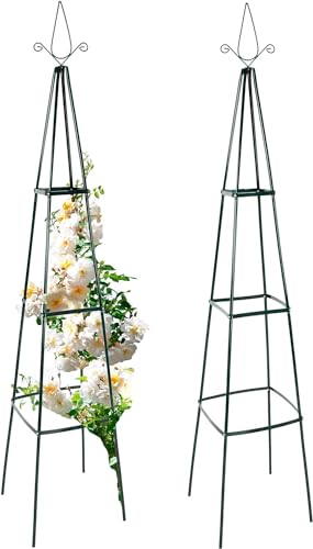 anaterra rosenbogen freistehend 2 stück metall grün rankhilfe gartenbogen für hochzeit balkon