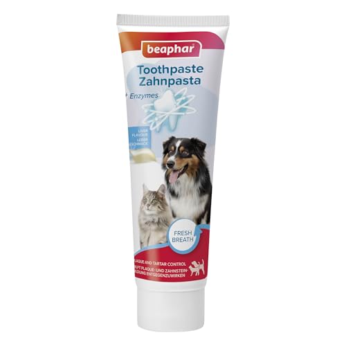 Produktbild: beaphar zahnpasta für hunde und katzen, lebergeschmack, ohne fluorid, 100 g