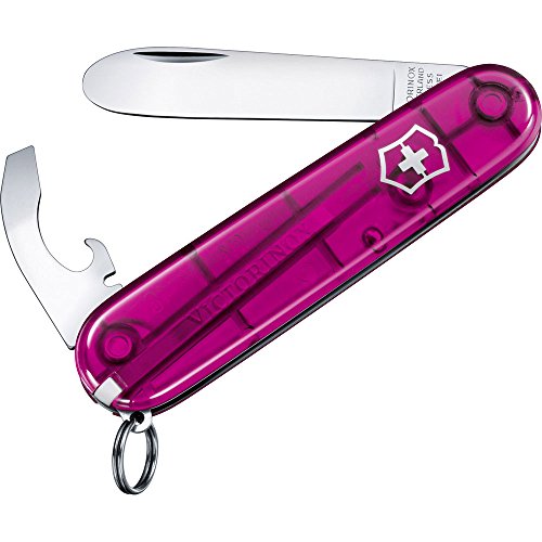 victorinox kinder taschenmesser mit lanyard und säge für 25,99
