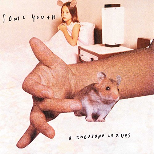 Produktbild: Sonic Youth - A Thousand Leaves (Vinyl Doppel-LP)