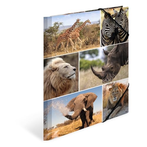 herma sammmappe a4 löwe kinder mappe aus pappe mit tiermotiv gummizug