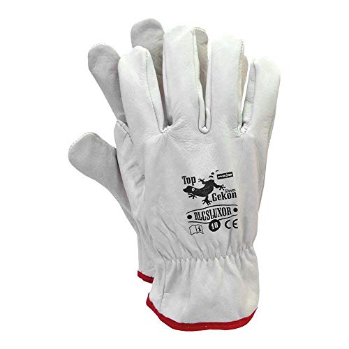 reis schutzhandschuhe rlcs luxor weiß größe 10 12 stück