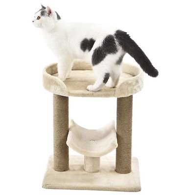 amazon basics katzenbaum mit plattform für katzen 27,54 euro statt 35 euro