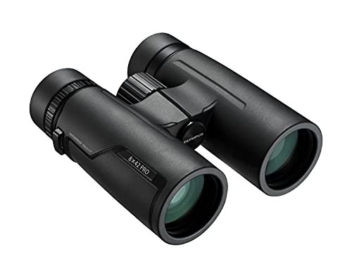 olympus 8x42 pro fernglas, nahsicht und weitwinkelbeobachtung