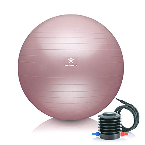 gymnastikball BODYMATE mit pumpe und gratis e-book für fitness, yoga, core training