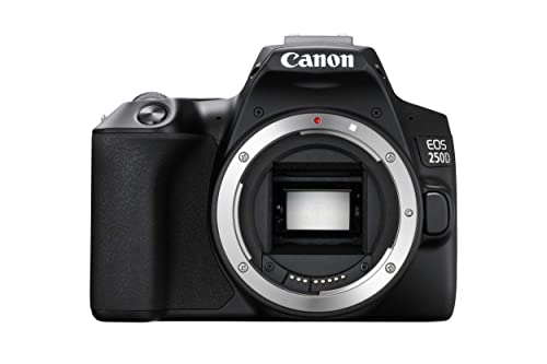 canon eos 250d dslr kamera 24,1 mp 4k video wlan bluetooth schwarz