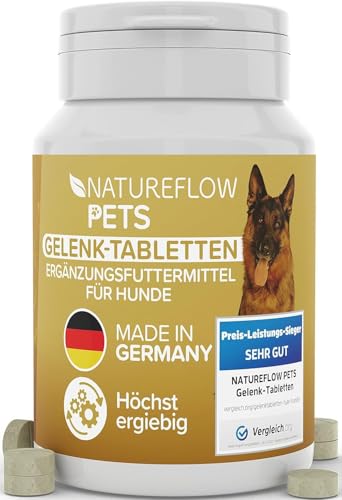 gelenktabletten für hunde mit grünlippmuschel, msm, teufelskralle - 100 stück