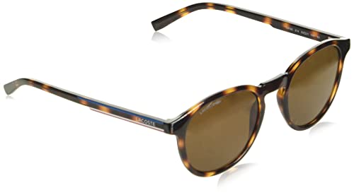 lacoste l916s 214 havana sonnenbrille lässige modeaccessoires für männer