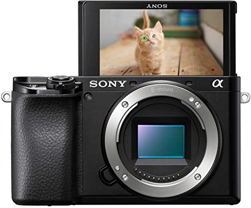 sony alpha 6100 kamera aps-c mit neigbarem display und blitzen