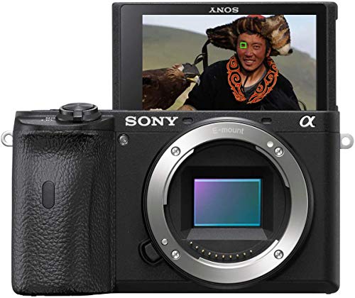 sony alpha 6600 kamera aps-c mit bildstabilisierung im gehäuse