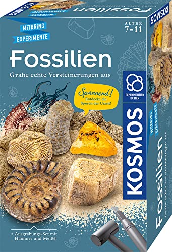 kosmos fossilien ausgrabungs-set mit hammer und meißel für kinder ab 7 jahren