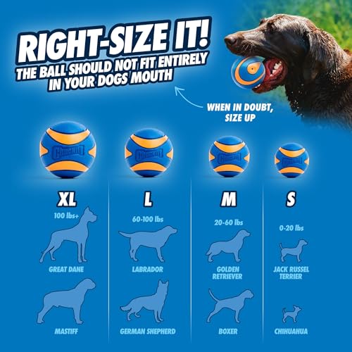Chuckit! Ultra Squeaker Hundespielzeug Gummi XL, hohe Sprungkraft, für Wasserwerfer