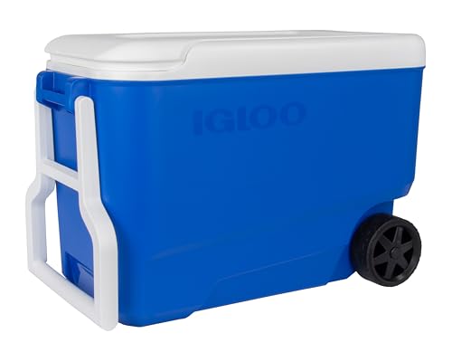 igloo kühlbox wheelie cool 38, thermobox mit rollen für camping und freizeit, 36 l