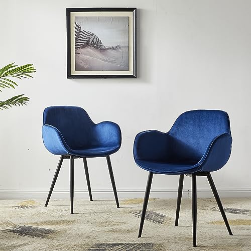 leChamp velvet esszimmerstuhl 2er set mit armlehnen und rückenlehne blau