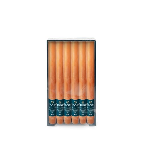 spaass tafelkerze rustikal 8 stück orange 12x