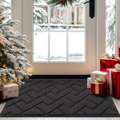 Biscpro Fußmatte Dunkelgrau 50x80 cm, Waschbar, Rutschfest, Wasserdicht