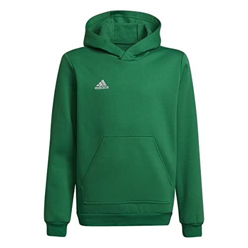 adidas kinder hoodie entrada 22 sweat, unisex, team green/white, 128