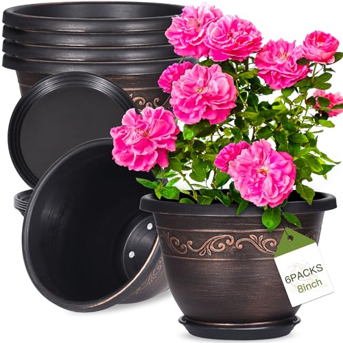 pottiffe blumentopf 6er set 20,32cm durchmesser mit untersetzer und ablaufloch für innen außen