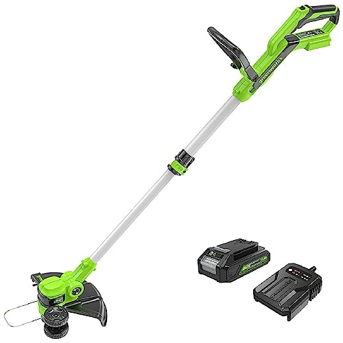 24V akku rasentrimmer greenworks 30 cm schnittbreite nylon faden 2Ah akku ladegerät