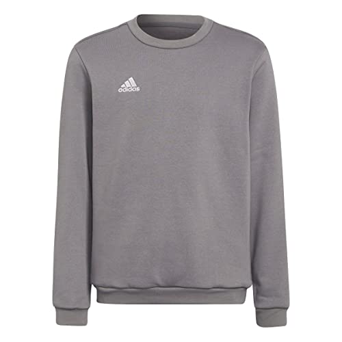 adidas kinder sweat top entrada 22 grau 5-6 jahre unisex