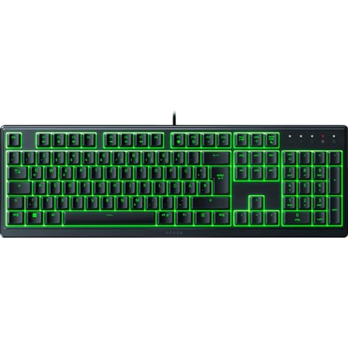 Razer Ornata V3 X Gaming-Tastatur QWERTZ, flache Membran, RGB, Handballenauflage