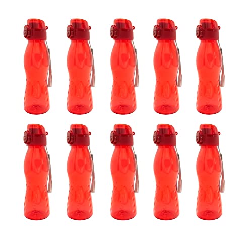 steuber trinkflaschen 700ml rot 10 stück klick top für freizeit