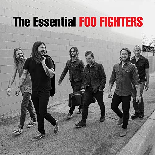 foo fighters essential album, double vinyl lp