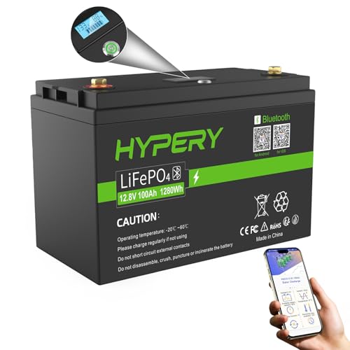 lifepo4 batterie smart mit bluetooth, led-display, bms für wohnmobile, boote, golfwagen