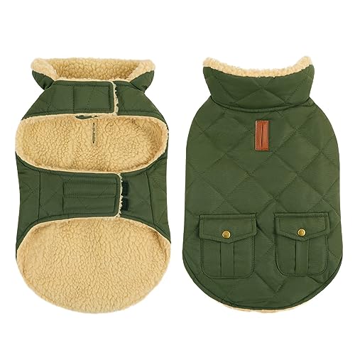 Cittoile hundemantel wasserdicht mit fleece, warmer winterjacke für hunde