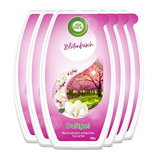 air wick duftgel blütenfrisch, klassisches duftgel mit blumenduft, 6 x 150g