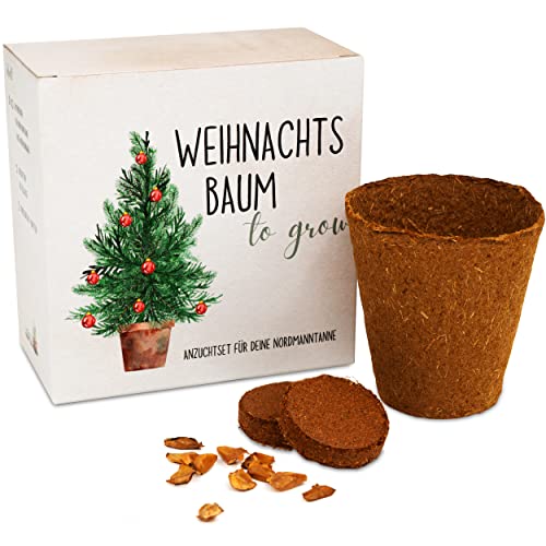 tannenbaum geschenk set - anzuchtset für 5 weihnachtsbäume mit kokostablette und topf