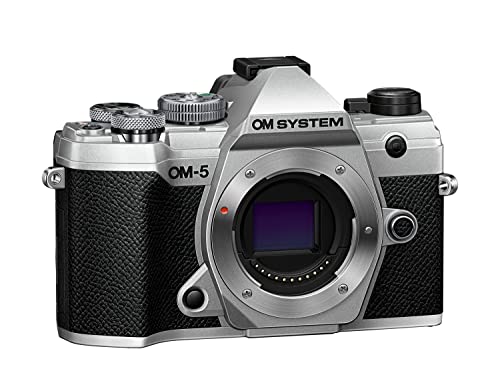 om system om-5 mikro four thirds kamera, hand-held high res shot, silber