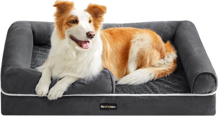 feandrea orthopädisches hundebett 91x71x20cm für hunde 33,99 statt 40