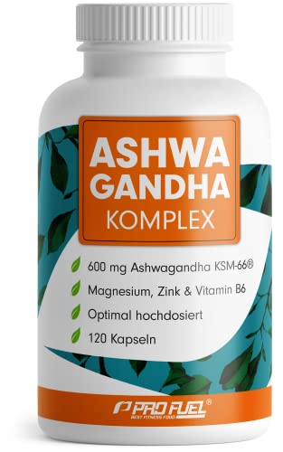 ashwagandha kapseln 600 mg ksm-66, mit magnesium, zink & vitamin b6, laborgeprüft