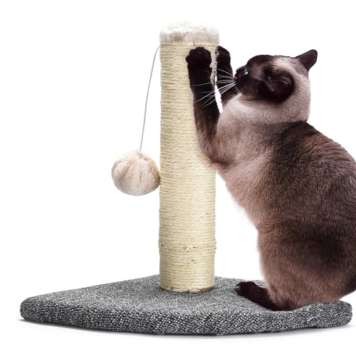 pfotenolymp interaktiver katzenkratzbaum mit spielzeugball, kratzmöbel für katzen