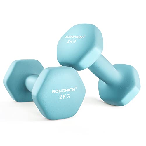 songmics hanteln 2er set 2 x 2 kg kurzhanteln neopren hexagon fitness zuhause blassblau