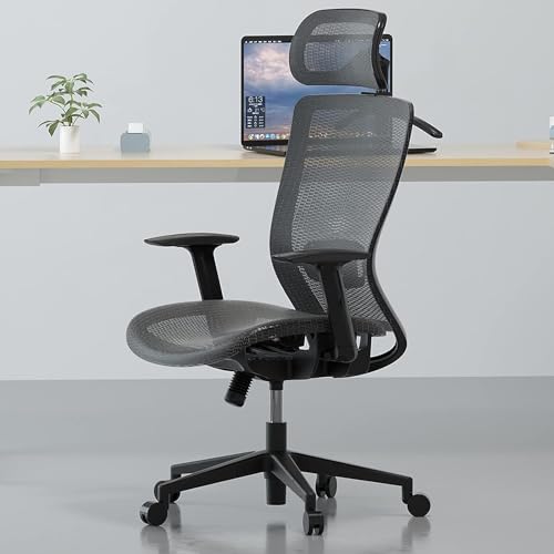 FLEXISPOT ergonomischer bürostuhl mit kopfstütze, armlehne und lendenwirbelstütze