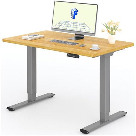 flexispot elektrisch höhenverstellbarer schreibtisch mit 2 motoren, 220,99