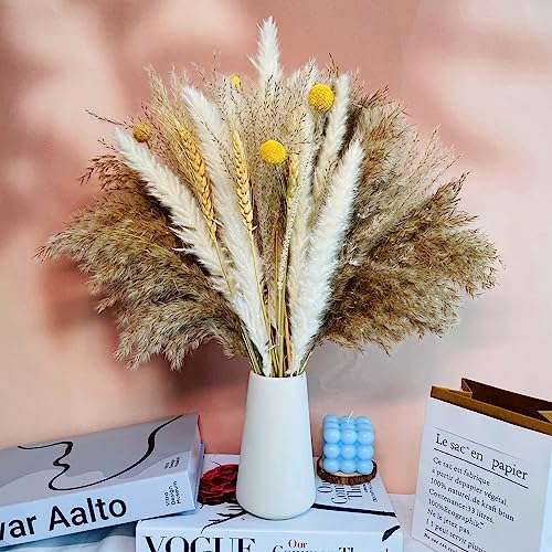 pampasgras trockenblumen deko 90 pcs schilfblume für boho stil heim dekoration