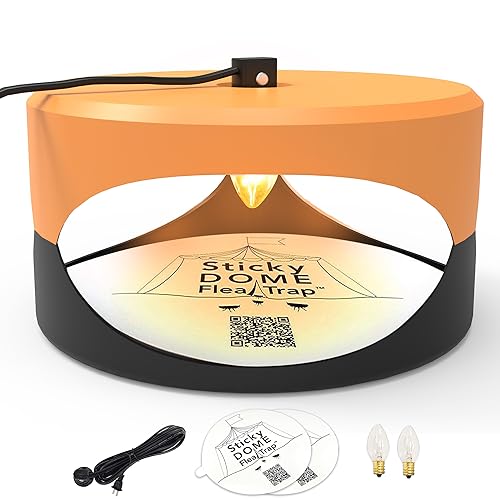 aspektek klebescheiben orange schwarz für fliegenfalle 10 stück
