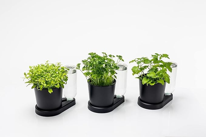 greevi kräuterheld 3er set kräutertöpfe selbstbewässerungssystem schwarz Kunststoff