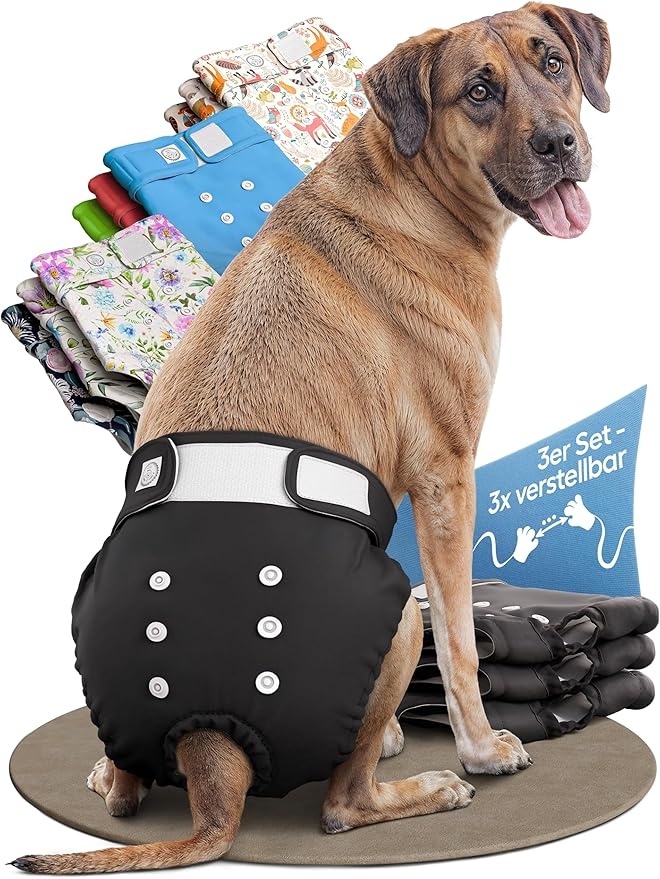 hund ist könig hundewindeln hündinnen 3 Stück hochabsorbierend umweltfreundlich 3-fach Justierung