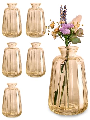 praknu glasvasen set 6 stück für tischdekoration, rund, vintage, spülmaschinenfest, gold