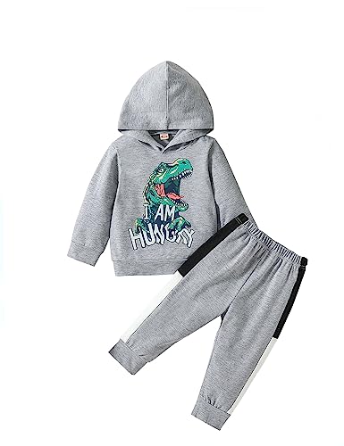 refein kinder dinosaurier langarm kapuzenpullover jogginganzug kleinkind outfit set