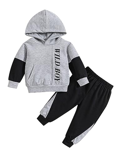 borlai kinder jungen sweatshirts mit dinosaurier, kapuzenpullover und camouflage hose